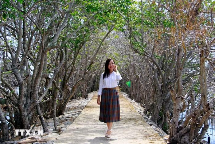 Du khách tham quan và chụp ảnh kỷ niệm tại rừng ngập mặn Rú Chá. (Ảnh: Hồ Cầu/TTXVN)