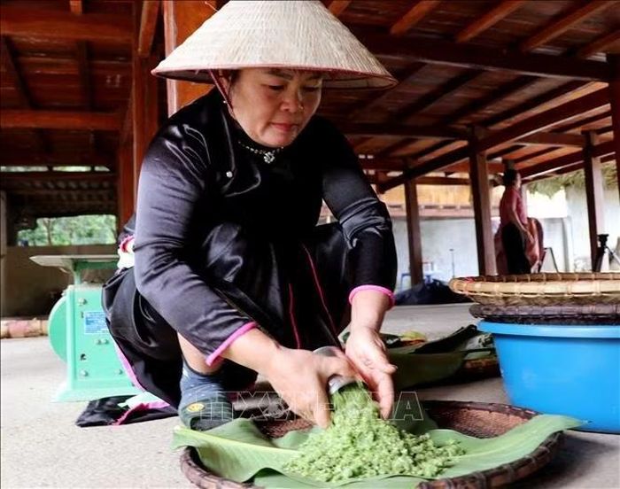Cốm được khéo léo gói trong lá dong, giữ trọn hương thơm và vị dẻo đặc trưng của hạt cốm.