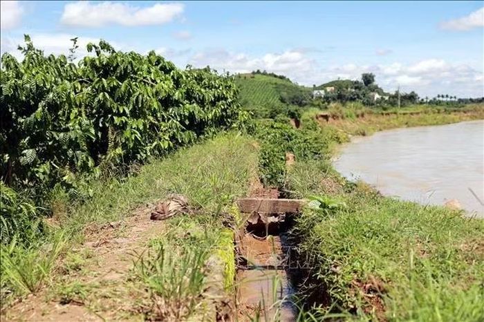 Một đoạn kênh mương thủy lợi ven sông bị sạt lở. Ảnh: Hưng Thịnh/TTXVN