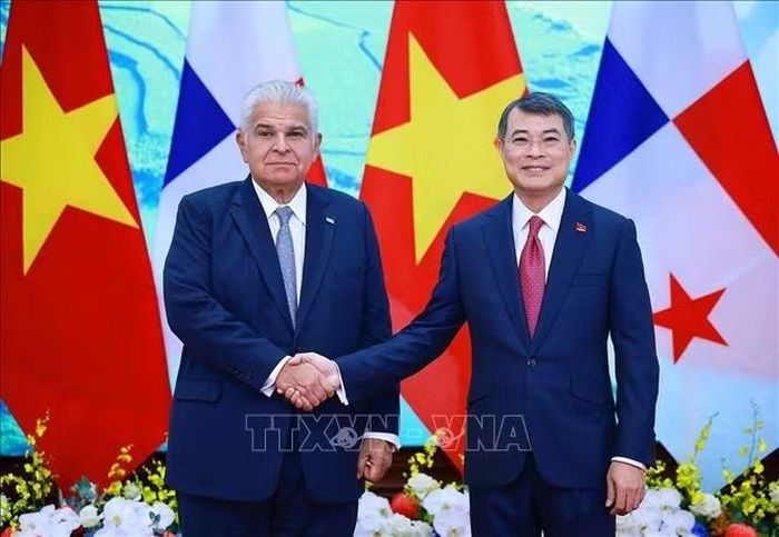 Thủ tướng Lê Minh Hưng hội kiến Tổng thống Panama José Raúl Mulino. Ảnh: Dương Giang/TTXVN