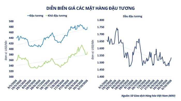 Diễn biến giá nhóm họ đậu.