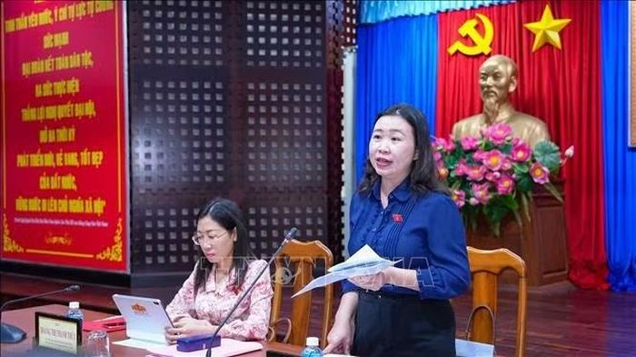 Phó Trưởng đoàn chuyên trách Đoàn đại biểu Quốc hội tỉnh Tây Ninh Lê Thị Song An phát biểu kết luận.