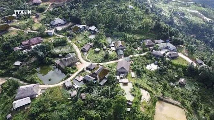 Những ngôi nhà mái cọ phủ rêu phong là điểm nhấn cho du khách tìm đến du lịch, khám phá tại thôn Xà Phìn, dãy Tây Côn Lĩnh. Ảnh: Hoàng Hiếu/TTXVN