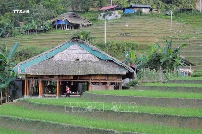 Một homestay mái rêu nằm hài hòa bên ruộng bậc thang xanh ngắt tại thôn Xà Phìn. Ảnh: Hoàng Hiếu/TTXVN
