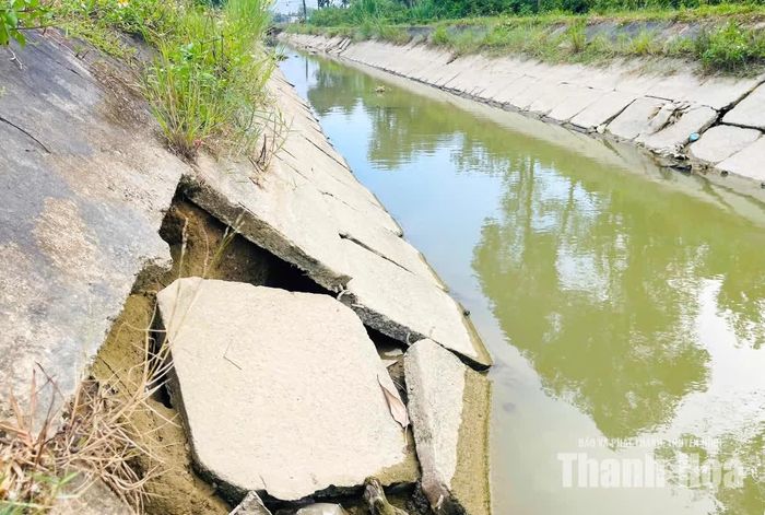 Một số tấm bê tông bị xô lệch, gãy thành từng mảng.
