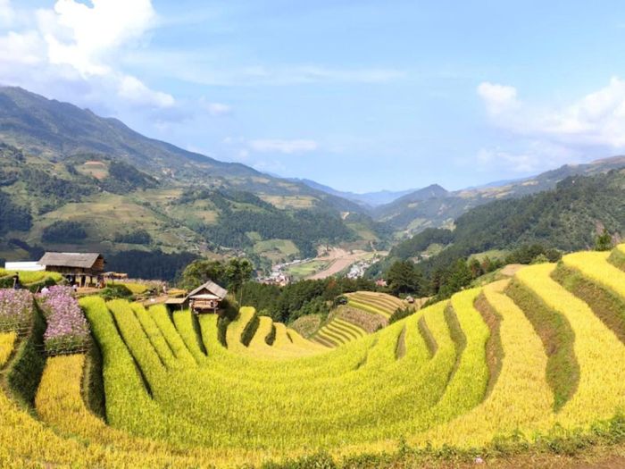 Vẻ đẹp ruộng bậc thang ở Lào Cai. Ảnh: Ban tổ chức.