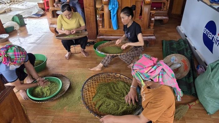 Người dân sản xuất nông sản từ những thửa ruộng bậc thang. Ảnh: Ban tổ chức.