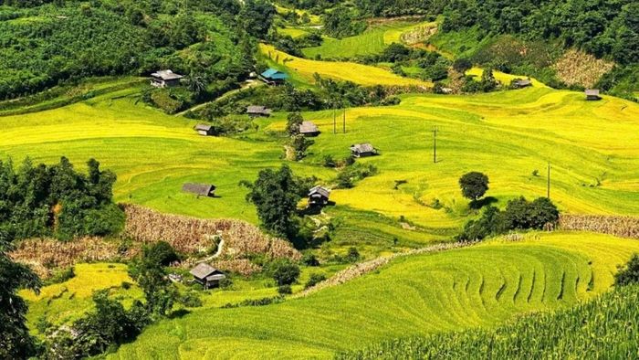 Vẻ đẹp ruộng bậc thang ở Lào Cai. Ảnh: Ban tổ chức.