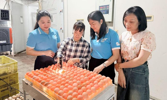 Lãnh đạo Hội Liên hiệp Phụ nữ thành phố và xã Đại Lai thăm mô hình khởi nghiệp, phát triển kinh tế của chị Bùi Thị Mai, thôn Trung Thành. 