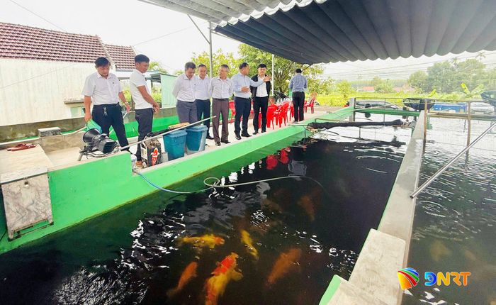 Đoàn công tác thăm mô hình nuôi cá Koi trên địa bàn xã Quế Sơn Trung sáng cùng ngày. Ảnh: D.THÁI