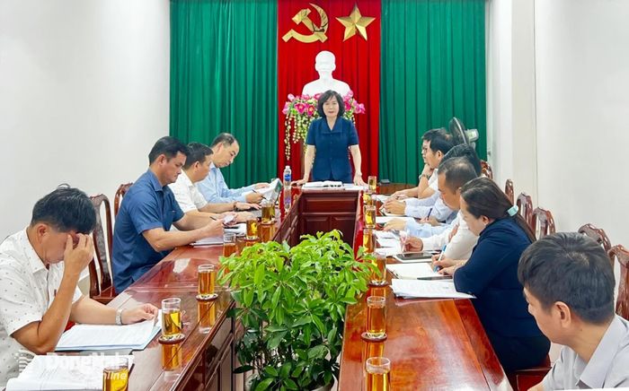 Thành ủy viên, Phó Chủ tịch UBND thành phố Đồng Nai Nguyễn Thị Cát Tiên chủ trì buổi làm việc. Ảnh: Kim Liễu