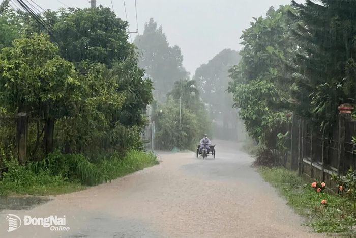 Mưa thường xuất hiện vào buổi chiều và tối. Ảnh minh hoạ: Kim Liễu  