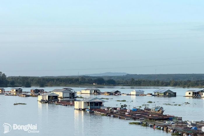 Trên sông La Ngà mực nước cao hơn báo động 2 tới 0,47m. Ảnh minh họa: Đăng Tùng