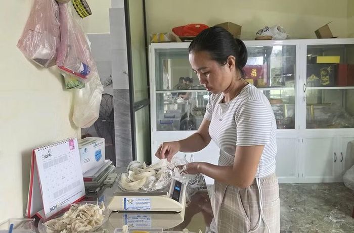  Các sản phẩm chế biến từ yến của gia đình chị Đỗ Thị Phượng đạt OCOP 3 sao. Ảnh: N.S 