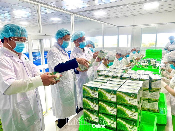 Sản phẩm rong nho tách nước của Công ty TNHH Trí Tín Nha Trang. 