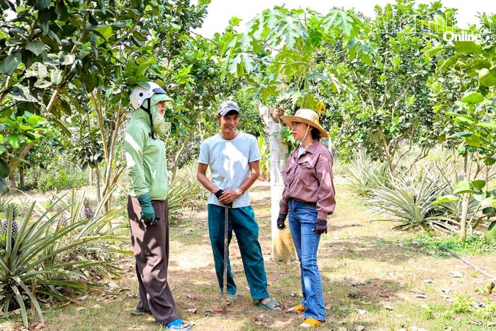 Cán bộ Hội Nông dân xã Khánh Vĩnh khảo sát, trao đổi trực tiếp tại mô hình kinh tế vườn tổng hợp của hội viên Đinh Thị Lý.