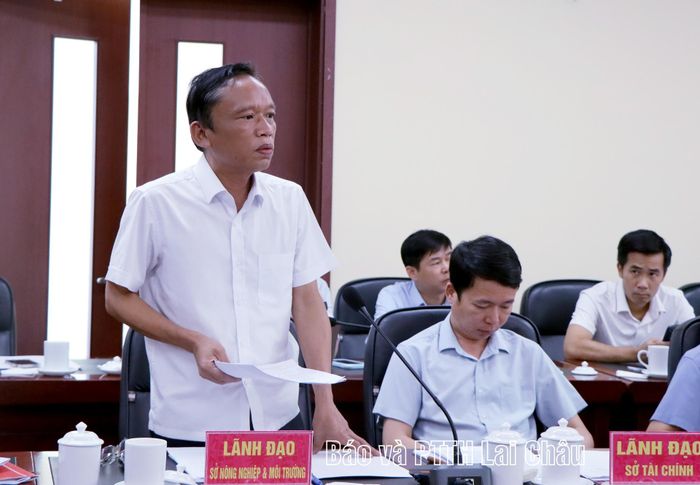 Lãnh đạo các sở, ngành phát biểu làm rõ các nội dung tại buổi làm việc.