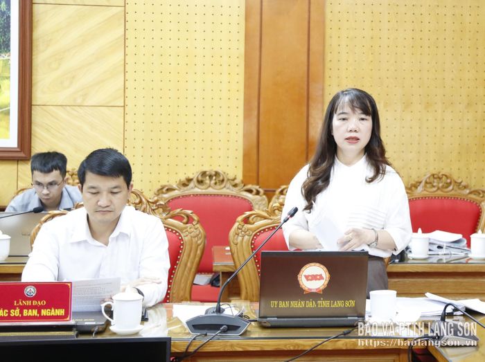 Lãnh đạo Sở Tài chính báo cáo tại cuộc họp thẩm tra