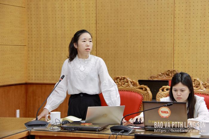 Lãnh đạo Tỉnh đoàn phát biểu tại cuộc họp