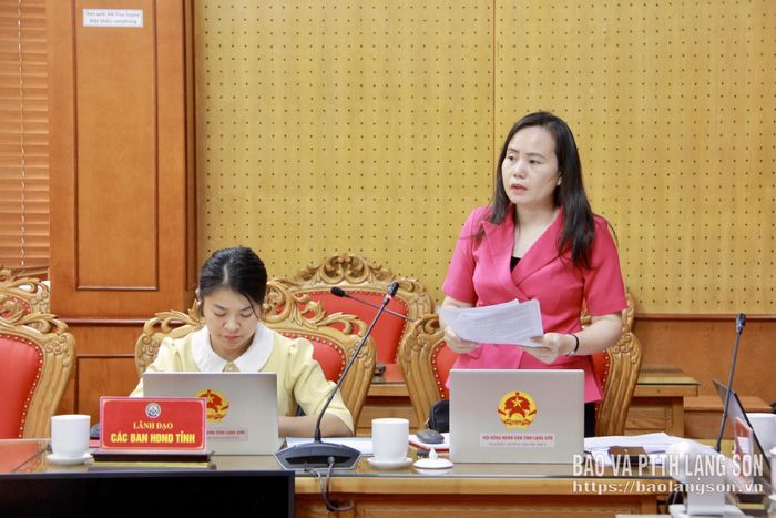 Đại diện Ban Pháp chế HĐND tỉnh phát biểu tại cuộc họp