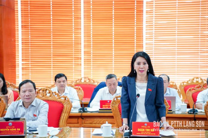 Đồng chí Đoàn Thu Hà, Phó Bí thư Tỉnh ủy, Trưởng đoàn ĐBQH tỉnh phát biểu tại buổi giám sát