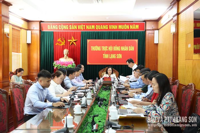Lãnh đạo Ban Pháp chế HĐND tỉnh trình bày báo cáo kết quả thực hiện nhiệm vụ tại buổi làm việc
