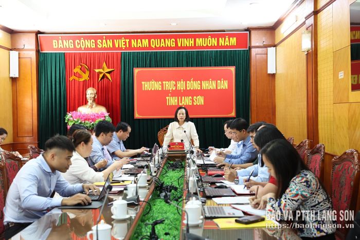 Đồng chí Đoàn Thị Hậu, Phó Bí thư Tỉnh ủy, Chủ tịch HĐND tỉnh phát biểu kết luận buổi làm việc