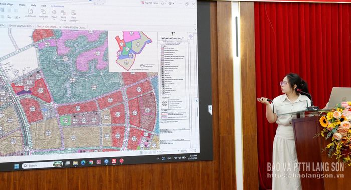 Đại diện đơn vị tư vấn trình bày phần đánh giá nội dung điều chỉnh