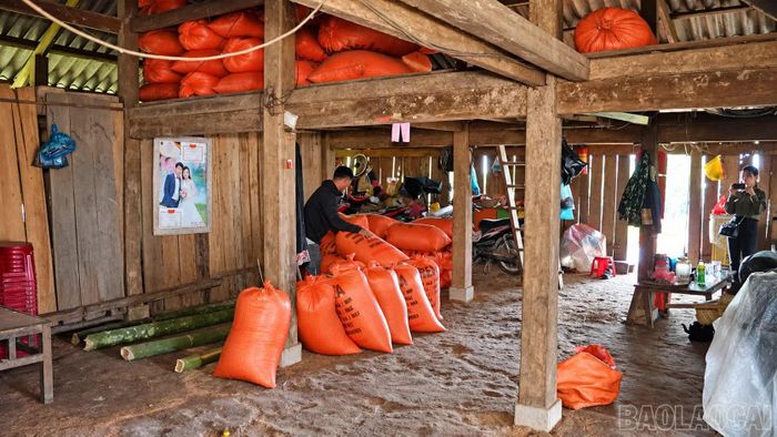 Điều kiện nhà ở, sinh kế của hộ dân được rà soát, đánh giá sát thực tế.