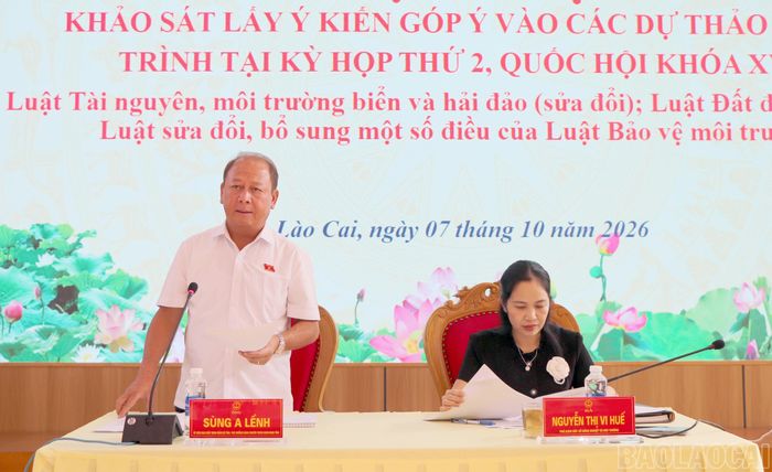 Phó Trưởng Đoàn chuyên trách Đoàn đại biểu Quốc hội tỉnh Sùng A Lềnh phát biểu kết luận hội nghị.