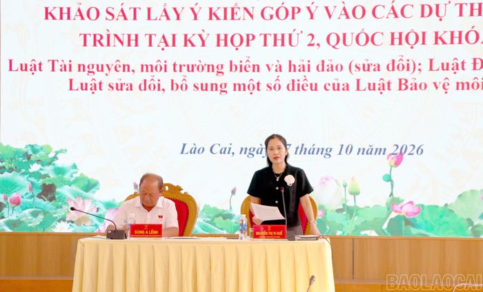 Lãnh đạo Sở Nông nghiệp và Môi trường báo cáo những nội dung trọng tâm của 3 dự thảo luật.