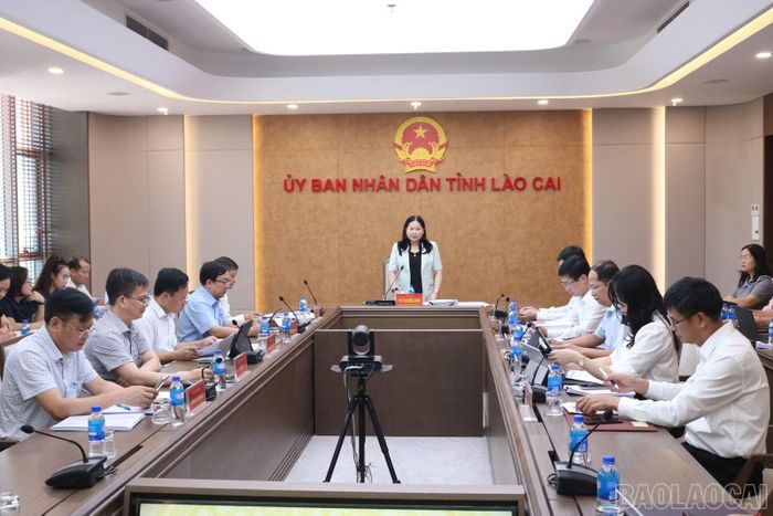 Đồng chí Vũ Thị Hiền Hạnh - Phó Chủ tịch UBND tỉnh chủ trì cuộc họp thảo luận dự thảo nghị quyết của HĐND tỉnh quy định chính sách thu hút, đãi ngộ, hỗ trợ đào tạo nguồn nhân lực trên địa bàn tỉnh giai đoạn 2026 - 2030.