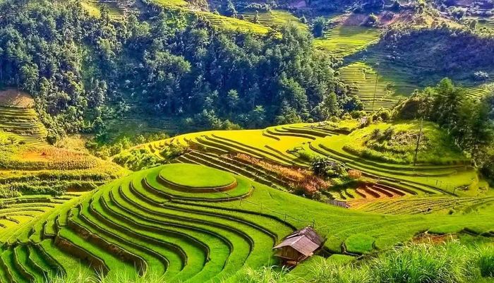 Ruộng bậc thang Mù Cang Chải là danh thắng độc đáo và nổi tiếng nhất của Việt Nam, gắn liền với đời sống của đồng bào dân tộc Mông.