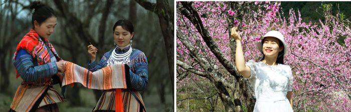 Lào Cai hấp dẫn du khách không chỉ bởi cảnh sắc thiên nhiên mà còn bởi những giá trị văn hóa đặc trưng giàu bản sắc và sức sống. (Ảnh: Báo và Phát thanh, Truyền hình Lào Cai)
