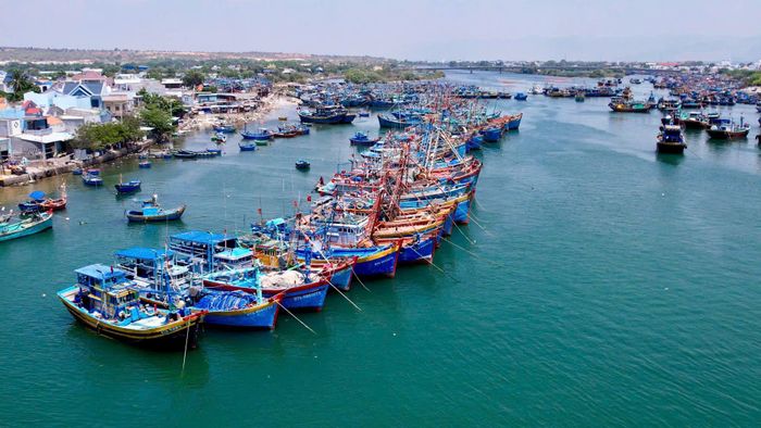 Tàu thuyền ngư dân Lâm Đồng neo đậu cửa biển Phan Rí Cửa
