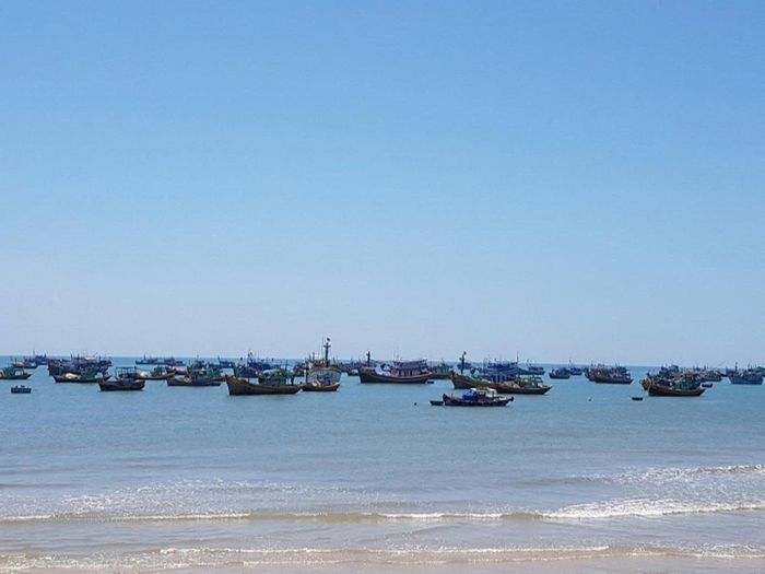 Tân Thành hiện có 130 tàu cá đánh bắt xa bờ và ven bờ
