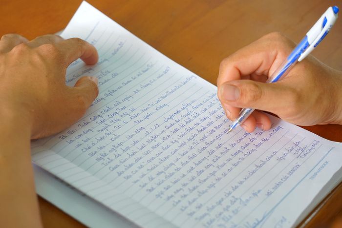 Những lá đơn tuổi trẻ