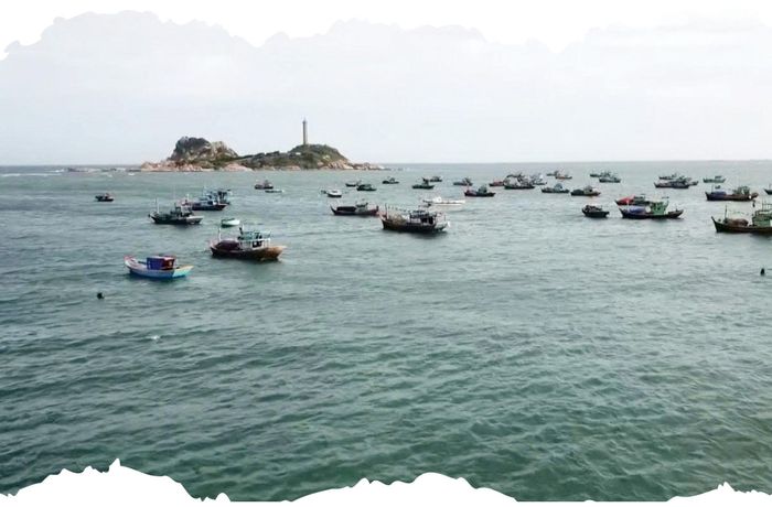 Đến năm 2015, UBND tỉnh chính thức phê duyệt Đề án thí điểm. 3 Hội cộng đồng ngư dân ra đời với 288 hộ tham gia, quản lý gần 24 km² vùng biển ven bờ