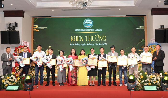 Hiệp hội Doanh nghiệp tỉnh khen thưởng các doanh nhân có thành tích xuất sắc trong sản xuất, kinh doanh và có nhiều đóng góp tích cực cho sự phát triển của hiệp hội