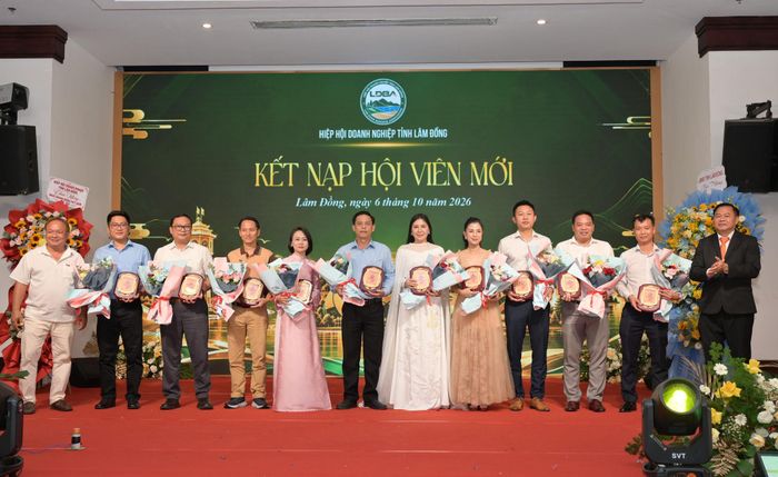 Hiệp hội Doanh nghiệp tỉnh trao chứng nhận cho hội viên mới