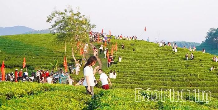 Với cảnh quan thiên nhiên độc đáo và vùng chè sản xuất xanh, an toàn, xã Long Cốc ngày càng thu hút đông đảo du khách đến tham quan, trải nghiệm và lưu trú.