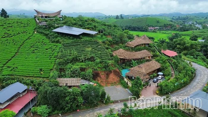 Những homestay, nhà nghỉ đa dạng tại Long Cốc với thiết kế thân thiện, hài hòa cùng thiên nhiên mang đến cho du khách cảm giác an toàn, thân thiện.