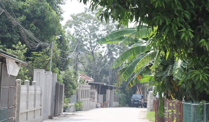 Vẻ thanh bình của làng mộc Minh Đức hôm nay.