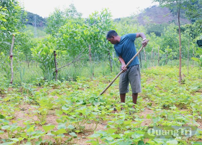 Hồ Cum là tấm gương thực tế để Nhân dân trong thôn học tập, cùng vươn lên thoát nghèo - Ảnh: K.S