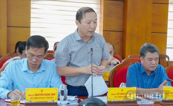 Đại biểu báo cáo tại phiên họp - Ảnh: N.H