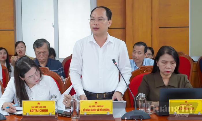 Đại biểu báo cáo tại phiên họp - Ảnh: N.H