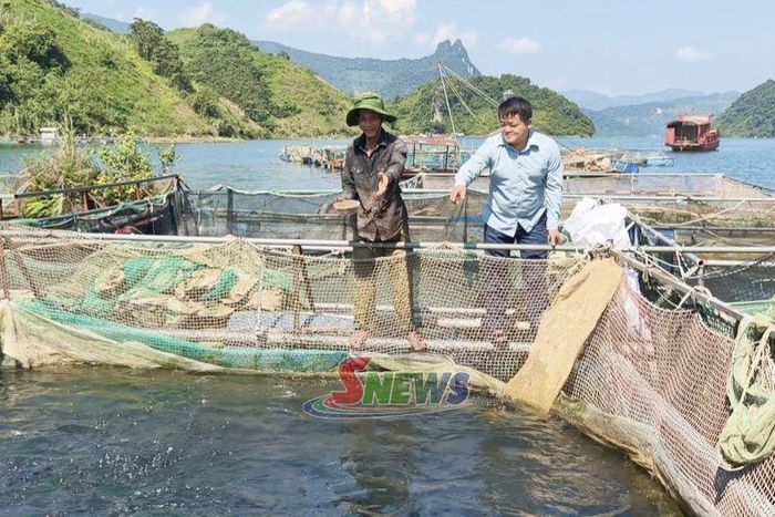 Mô hình nuôi cá lồng bản Mường Trai, xã Mường La.
