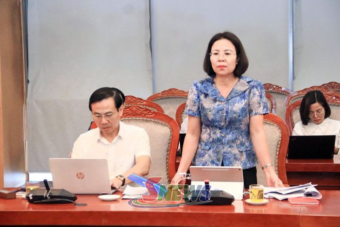 Lãnh đạo Sở Văn hóa, Thể thao và Du lịch phát biểu tại cuộc họp.