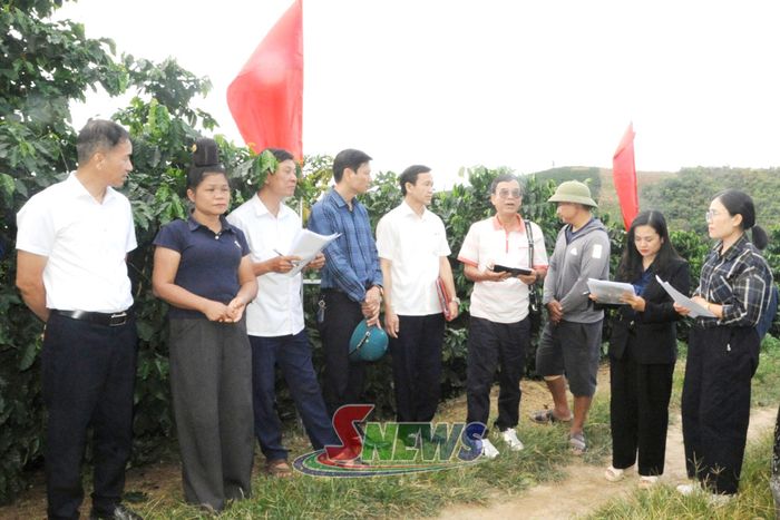 Ban tổ chức Hội thi nhà nông đua tài chấm điểm vườn cà phê đẹp tại bản Mảy, xã Mường Chanh