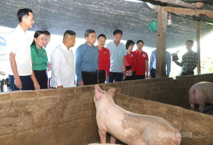 Phó Bí thư Tỉnh ủy, Chủ tịch Ủy ban MTTQ Việt Nam tỉnh Ma Thế Hồng và lãnh đạo các sở, ngành thăm mô hình phát triển kinh tế trên địa bàn xã Tân Tiến.